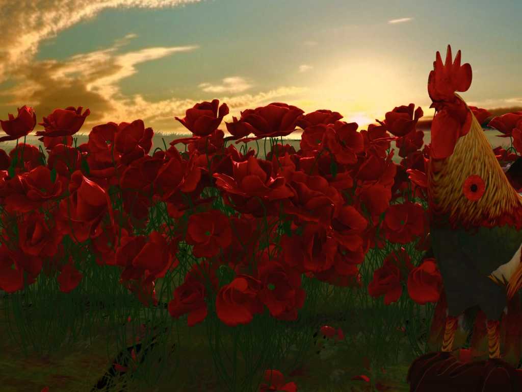 Cocoquelicot