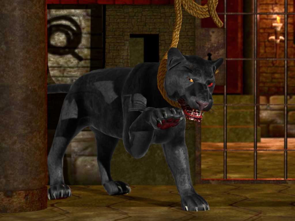 The black cat