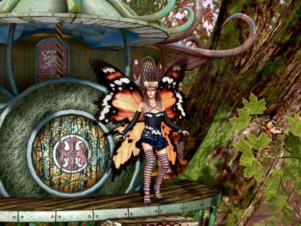 Insect round