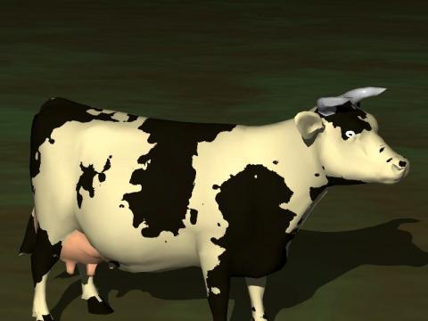 Ray_45