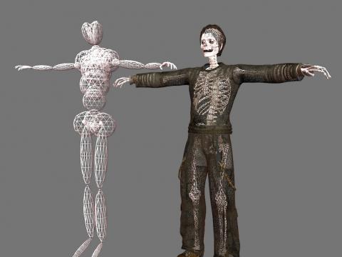 Skeleton