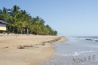~ Life's a Beach