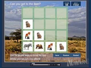 Safari