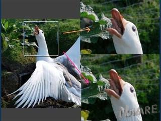 Image enlargement